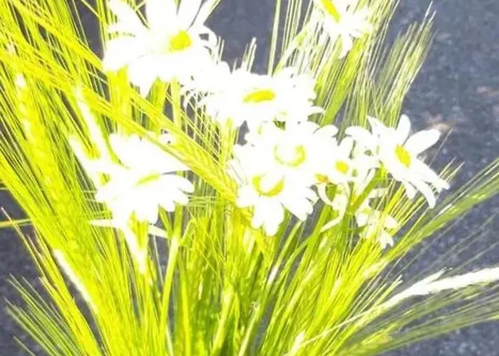 Maison Charmante A Avec Vue Sur La Montagne 펜션 Prat-Bonrepaux