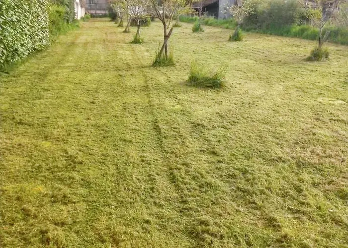 Maison Charmante A Avec Vue Sur La Montagne Holiday home Prat-Bonrepaux